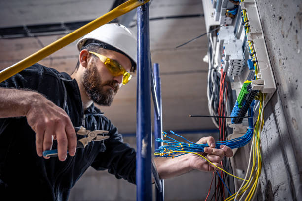 Best Electric Panel Repair  in Captain Cook, HI
