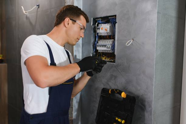Best Electrical System Inspection  in Captain Cook, HI